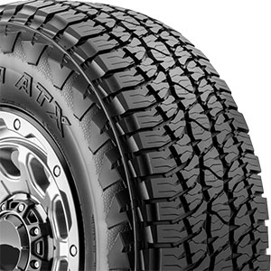 Nexen Roadian ATX
